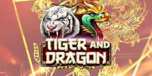 Khám phá những thuật ngữ trong game rồng hổ