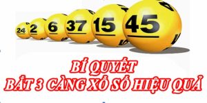 Hướng dẫn mẹo bắt lô 3 càng cực chuẩn cho anh em