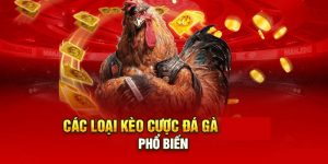 Kèo cược Đá Gà trực tiếp ở MB66 xanh chín đa dạng